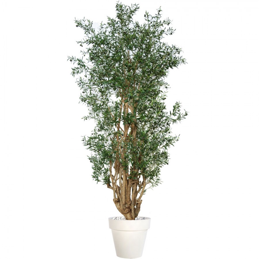 Planta semi-artificiala Ila, Olive Malabar Lux Green - 320 cm